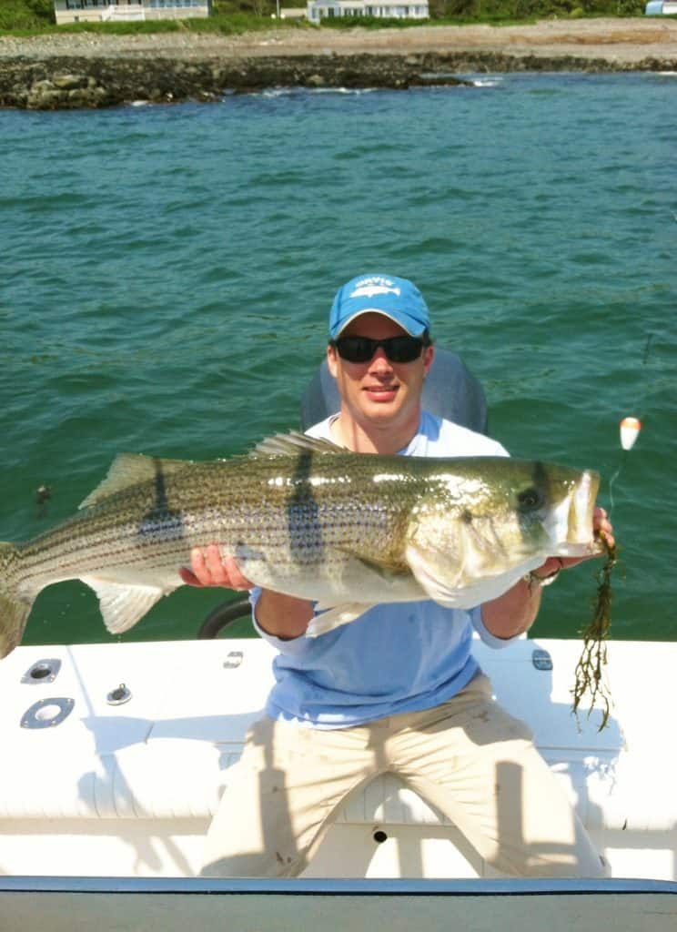 Striped Bass & Fly Fishing Photos Shoals Fly Fishing, Portsmouth NH