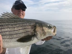 Shoals Fly Fishing Charters Portsmouth NH